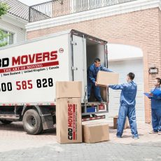 Furniture Movers Adelaide (1)