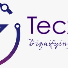 Tecza IT logo