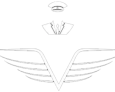 chauffeurs-link-melbourne-logo-1-1-300x184 - Copy