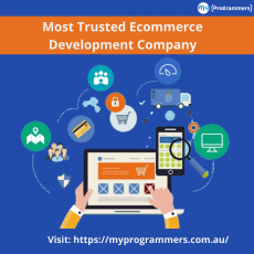 e-commerce development companies